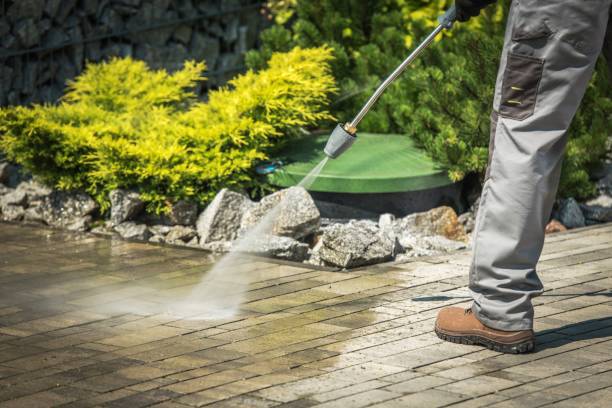 Best Sidewalk and Walkway Cleaning  in Felton, CA
