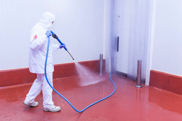 Best Building Exterior Washing  in Felton, CA