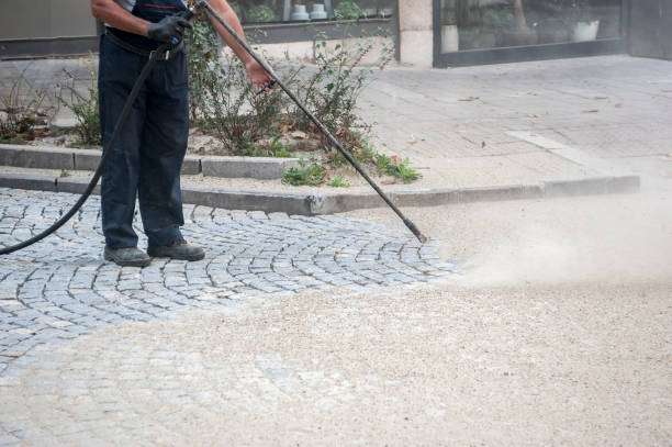 Best Fence Cleaning  in Felton, CA