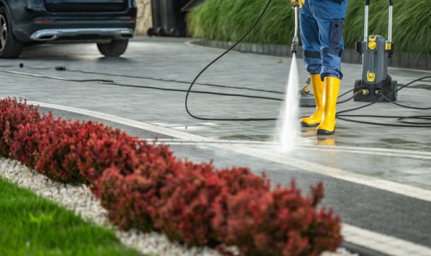 Animal Enclosure Cleaning in Felton, CA